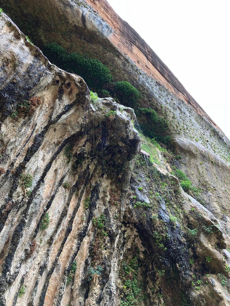 Closeup view of Weeping Rock